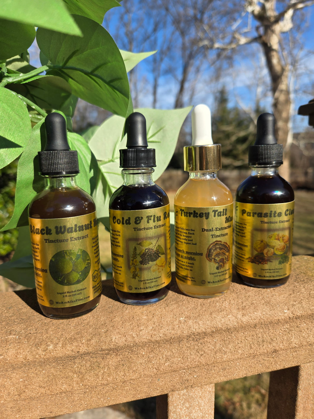Full Package Tincture Bundle Liquid Herbal Extracts – AlkaFine